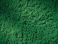 015-76670 - Rollrasen dunkelgrün (150 x 250 mm)